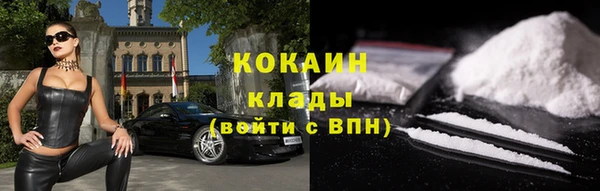 гидра Бородино