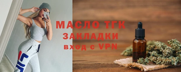 гидра Бородино