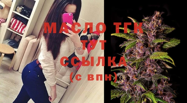 гидра Бородино