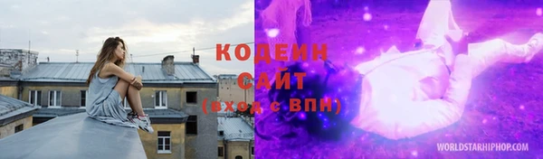 гидра Бородино