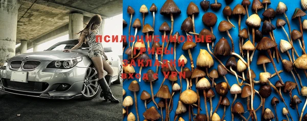 mdpv Бронницы
