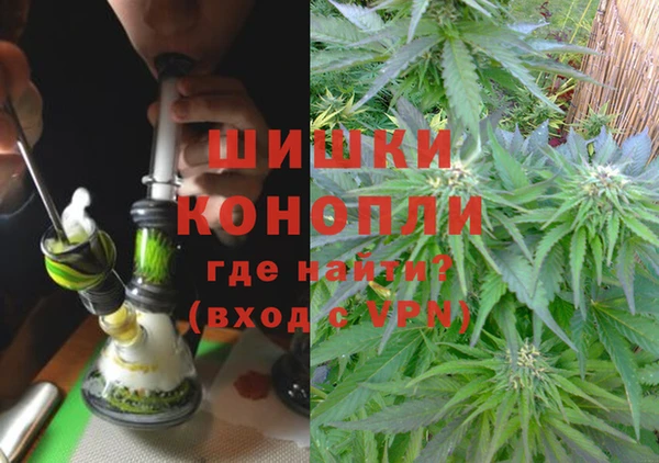 гидра Бородино