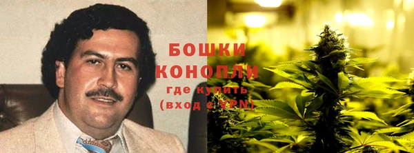 гидра Бородино