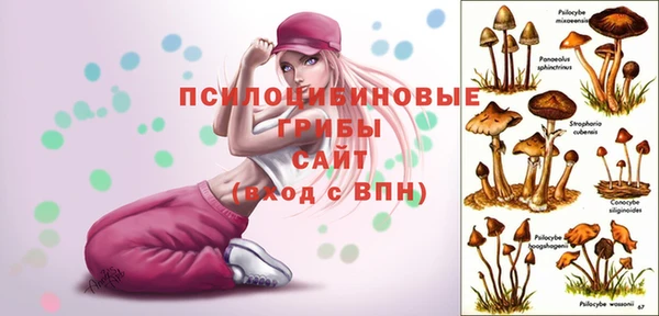 mdpv Бронницы