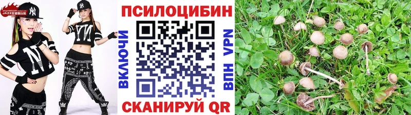 гидра зеркало  Неман  Псилоцибиновые грибы прущие грибы 